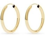 FAVS Creolen 89193371 375er Gelbgold
