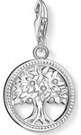 Thomas Sabo Charm Sterling Silver 1303-051-14 86819228