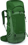 Osprey 3290, Osprey Talon 44 Wanderrucksack Unisex (Gr&uuml;n L/XL Gr&ouml;&szlig;e)