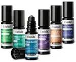 Casida Top 6 Roll-On Set 6X10 ml &Auml;therisches &Ouml;l