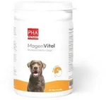 PHA Magenvital 200 g Pulver