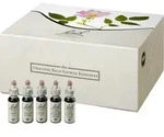 BACHBL&Uuml;TEN Original Sonderedition Box 400 ml Tropfen