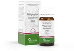 Pfl&uuml;gerplex Apisinum 360 100 St Tabletten