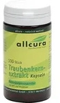 TRAUBENKERNEXTRAKT Kapseln 100 St Kapseln