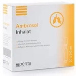 Ambroxol Inhalat 15ml/2ml 20X2 ml L&ouml;sung f&uuml;r einen Vernebler