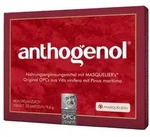 ANTHOGENOL Masquelier OPC Kapseln 30 St Kapseln