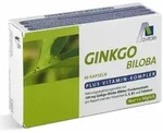 Avitale GINKGO 100 mg Kapseln+B1+C+E 48 St Kapseln