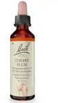 BACHBL&Uuml;TEN Original Cherry Plum Nr. 6 20 ml Tropfen