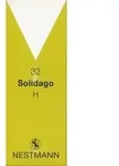 SOLIDAGO H 32 Tropfen 100 ml Tropfen