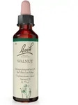 BACHBL&Uuml;TEN Original Walnut Nr. 33 20 ml Tropfen
