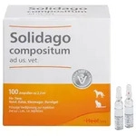 Solidago compositum ad us. vet. Ampullen 100 St Ampullen