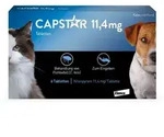 CAPSTAR KATZE + KL. HUND 6 St Tabletten
