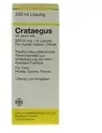Crataegus ad usum vet. 50 ml L&ouml;sung 250 ml Dilution