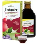 Blutquick Saft 250 ml Saft