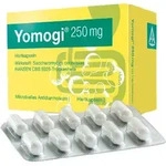 Yomogi 250mg 5 Billionen Zellen 10 St Hartkapseln