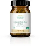 Phosphatidylcholin Lecithin 120 St Kapseln