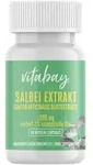 Vitabay Salbei EXTRAKT 1900 mg 90 St Kapseln