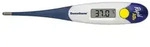 DOMOTHERM Rapid 10 Sekunden Fieberthermometer 1 St