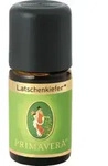 LATSCHENKIEFER Bio &auml;therisches &Ouml;l 5 ml &Auml;therisches &Ouml;l