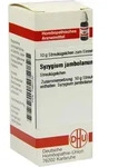 SYZYGIUM JAMBOLANUM D 2 Globuli 10 g Globuli