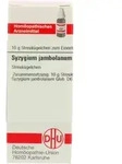 SYZYGIUM JAMBOLANUM D 6 Globuli 10 g Globuli