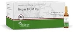 Hepar HOM Inj. 50X2 ml Ampullen