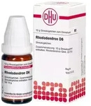 RHODODENDRON D 6 Globuli 10 g Globuli