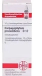 HARPAGOPHYTUM PROCUMBENS D 12 Globuli 10 g Globuli