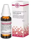 LATHYRUS SATIVUS D 6 Dilution 20 ml Dilution