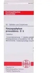 HARPAGOPHYTUM PROCUMBENS D 6 Tabletten 80 St Tabletten