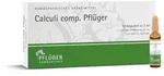 PZN-DE 00895652, Hom&ouml;opathisches Laboratorium Alexander Pfl&uuml;ger Calculi comp.