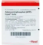 ATP Injeel forte Ampullen 10 St Ampullen