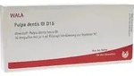 Pulpa dentis GL D15 10X1 ml Ampullen