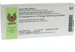 Iscucin Mali St&auml;rke C Ampullen 10X1 ml Ampullen