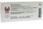 Nervus vagus Gl D5 Ampullen 10X1 ml Ampullen