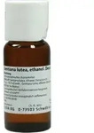 WELEDA GENTIANA LUTEA 5% Dilution 50 ml Mischung