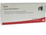 Iscucin Pini St&auml;rke C Ampullen 10X1 ml Ampullen