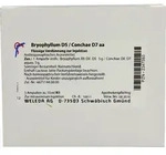 WELEDA BRYOPHYLLUM D 5/Conchae D 7 Ampullen 5X10 ml Ampullen