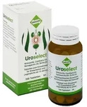 UROSELECT Tabletten 100 St Tabletten