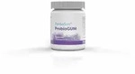 Dentasan Probiogum Spearmint Kaugummi 30 St Kaugummi