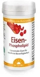 Dr. Jacob's Eisen-Phospholipid Mango Pulver liposomal vegan