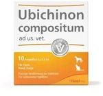 Ubichinon compositum ad us. vet. 10 St Ampullen