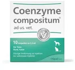 COENZYME compositum ad. us. vet. 10 St Ampullen