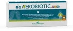 GSE Aerobiotic Junior Einm.Amp.f.Vern.Inhal.-Lsg. 10X5 ml Inhalationsl&ouml;sung