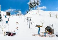Faller H0 (1:87) 134003 - Schlepplift mit Kiosk Modellbahn