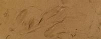 Vallejo 26219 - Brown Earth 200 ml Modellbau