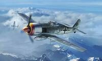 Hobby Boss 81782 - Focke-Wulf FW190A-8 Modellbau
