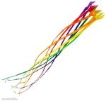 HQ 126452 - Soft Swirl Rainbow 300 - Drachenschwanz , 3mx43cm, 8 Farben Spielzeug