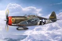 Trumpeter 02427 - P-47D Thunderbolt Razorback Modellbau