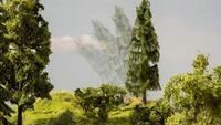 Noch 21775 - micro-motion Fallender Baum Tanne Modellbahn